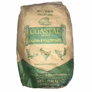 Oyster Shells